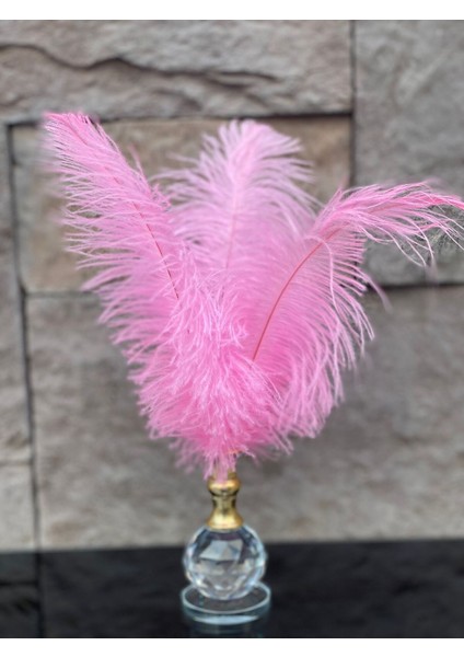 Dekoratif Top Kristal Cam Tekli Deve Kuşu Tüyü Pembe Gold fiyatları