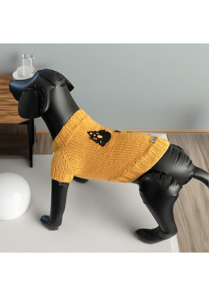 Kedi ve Köpek Için Sarı Cadılar Bayramı Kazağı fiyatları