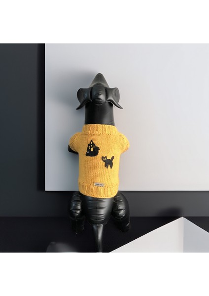 Kedi ve Köpek Için Sarı Cadılar Bayramı Kazağı fırsatları