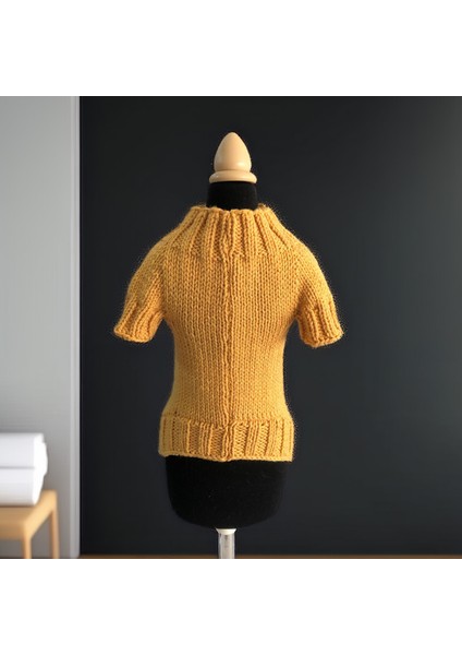 Kedi ve Köpek Için Sarı Cadılar Bayramı Kazağı indirimleri