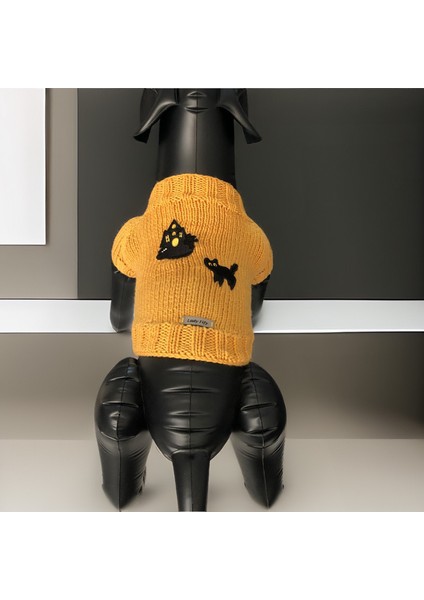 Kedi ve Köpek Için Sarı Cadılar Bayramı Kazağı