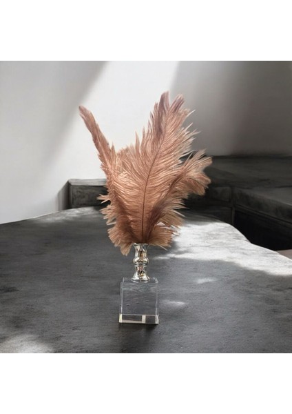 Dekoratif Küçük Boy Küp Kristal Cam Deve Kuşu Tüyü Kahverengi Gümüş fırsatları