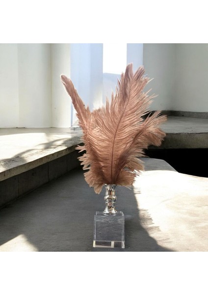 Dekoratif Küçük Boy Küp Kristal Cam Deve Kuşu Tüyü Kahverengi Gümüş indirimleri