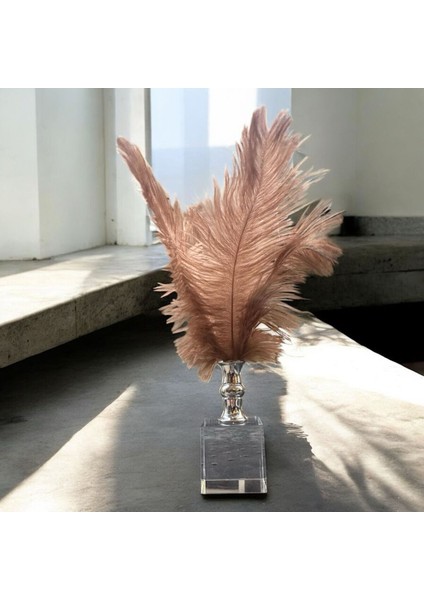 Dekoratif Küçük Boy Küp Kristal Cam Deve Kuşu Tüyü Kahverengi Gümüş