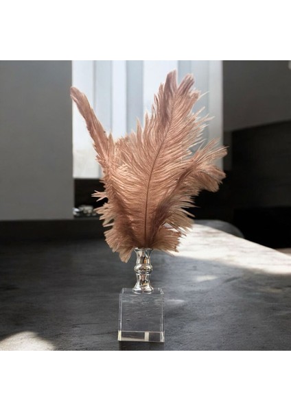 Dekoratif Küçük Boy Küp Kristal Cam Deve Kuşu Tüyü Kahverengi Gümüş