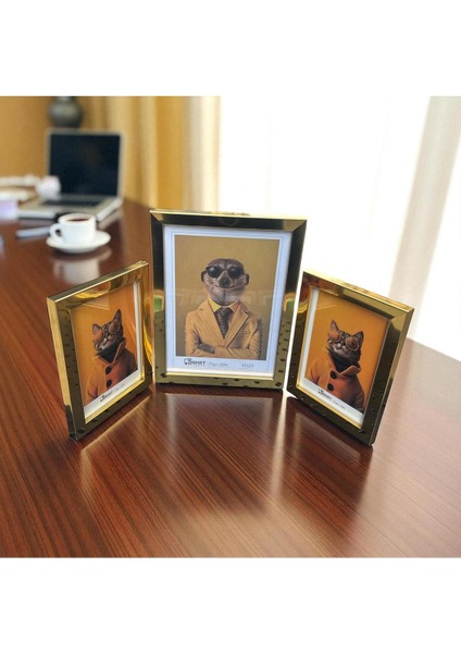 Dekoratif Ahşap Sanat Üçlü Resim Çerçevesi Gold modelleri