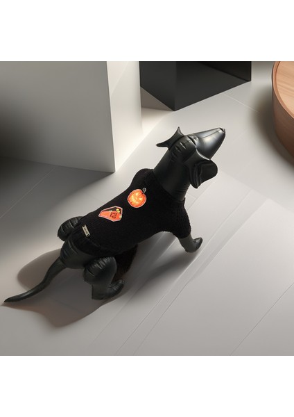 Kedi ve Köpek Için Siyah Cadılar Bayramı Kazağı
