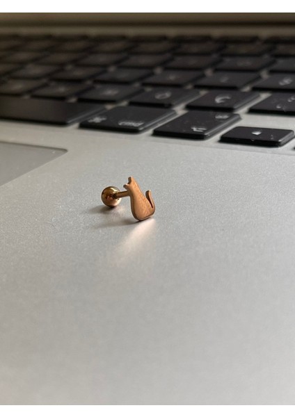 Cerrahi Çelik Tragus Helix Kıkırdak Conch Minimal Kedili Piercing