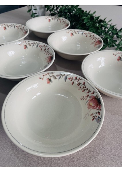 Hasbahçe Model 6 Adet Çorba Kasesi fiyatları