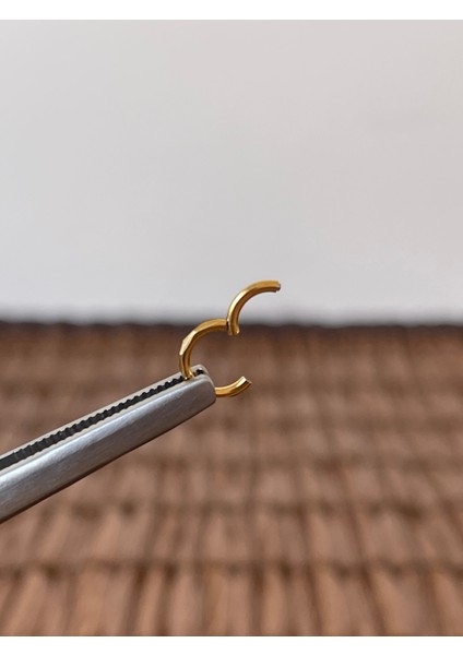 316 L Cerrahi Çelik Anti Alerjik Kesme Baklava 6 mm x 1.2mm Altın Kilitli Halka Piercing fiyatları