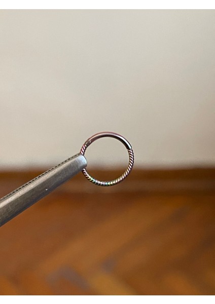 316 L Cerrahi Çelik Burgulu Kıkırdak Piercingi Rook Orbital Helix Septum Piercing