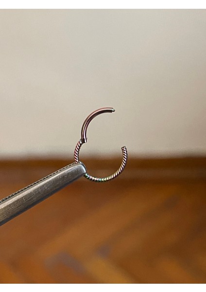 316 L Cerrahi Çelik Burgulu Kıkırdak Piercingi Rook Orbital Helix Septum Piercing fiyatları