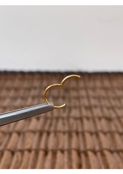 316 L Cerrahi Çelik Anti Alerjik Kesme Baklava 10 mm x 1.2mm Altın Kilitli Halka Piercing fiyatları