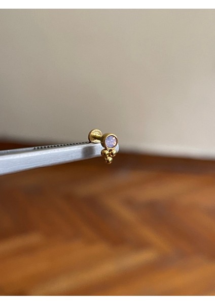 316 L Cerrahi Çelik Renkli Tek Taş Detaylı Dudak Kıkırdak Helix Tragus Piercingi
