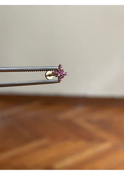 316 L Cerrahi Çelik Dudak Piercing Kıkırdak Helix Tragus Conch Piercingi Yıldız Piercing