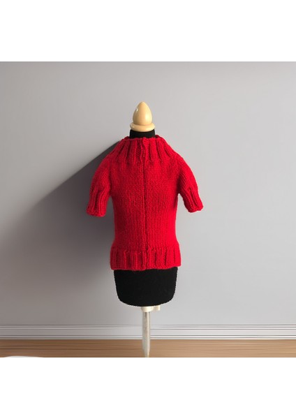 Kedi ve Köpek Için Kırmızı Cadılar Bayramı Kazağı indirimleri