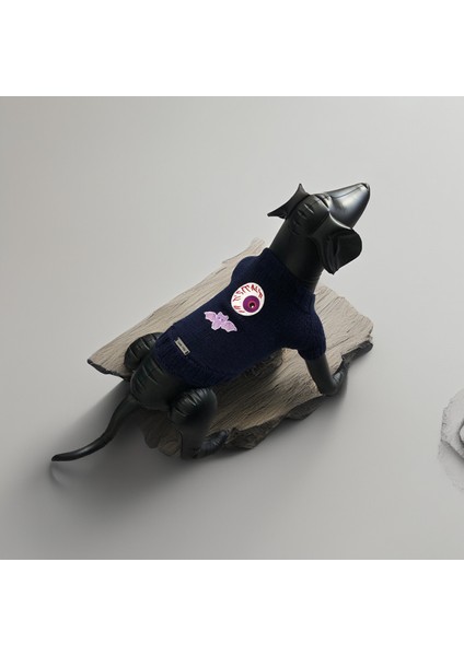 Kedi ve Köpek Için Lacivert Cadılar Bayramı Kazağı