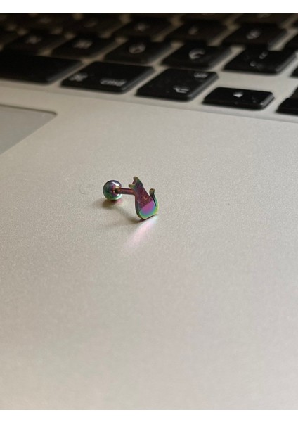 Cerrahi Çelik Tragus Helix Kıkırdak Conch Minimal Kedili Piercing