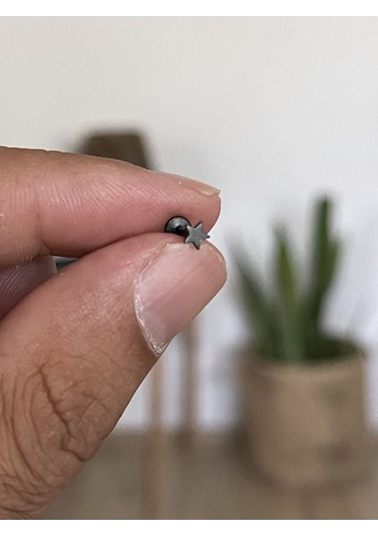 316 L Cerrahi Çelik Tragus Helix Kıkırdak Conch Minik Yıldız Piercing