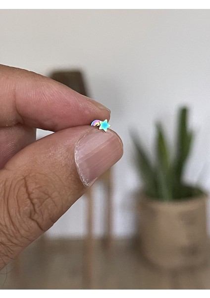 316 L Cerrahi Çelik Tragus Helix Kıkırdak Conch Minik Yıldız Piercing