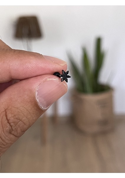 Şık Cerrahi Çelik Dudak Tragus Helix Kıkırdak Conch Minimal Yıldız Piercing