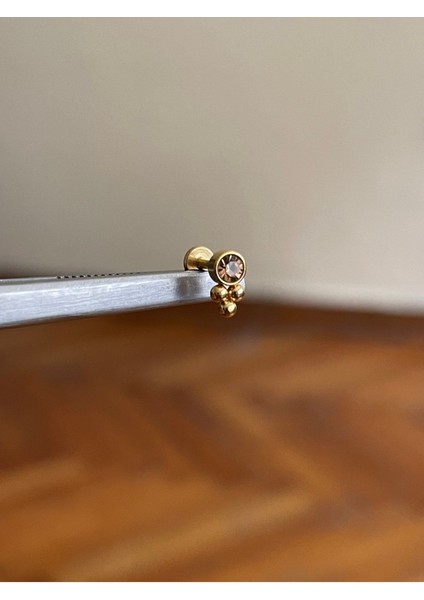 316 L Cerrahi Çelik Renkli Tek Taş Detaylı Dudak Kıkırdak Helix Tragus Piercingi