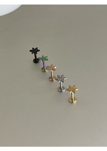 Şık Cerrahi Çelik Dudak Tragus Helix Kıkırdak Conch Minimal Yıldız Piercing fiyatları