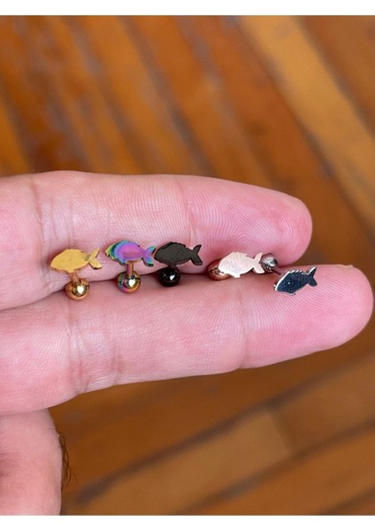 316 Cerrahi Çelik Tragus Helix Kıkırdak Conch Minimal Balık Piercing fiyatları