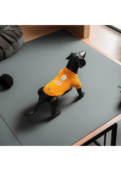 Kedi ve Köpek Için Turuncu Cadılar Bayramı Kazağı fiyatları