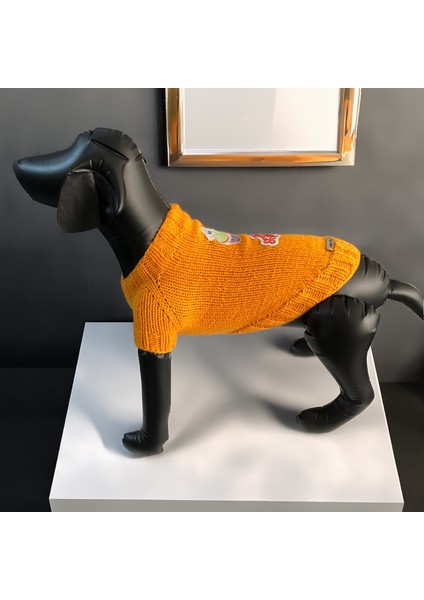 Kedi ve Köpek Için Turuncu Cadılar Bayramı Kazağı