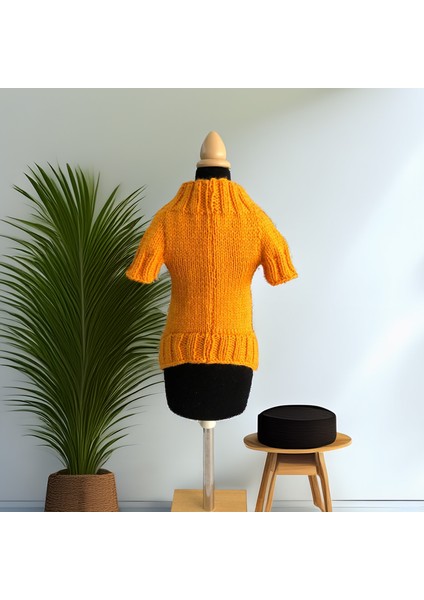 Kedi ve Köpek Için Turuncu Cadılar Bayramı Kazağı