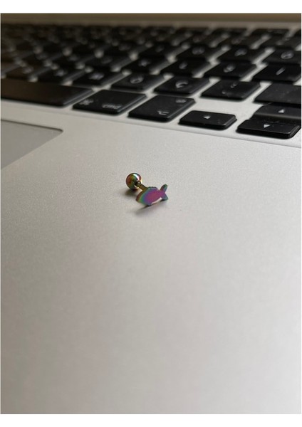 Cerrahi Çelik Tragus Helix Kıkırdak Conch Minimal Balık Piercing