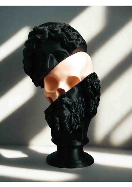 Yarım Büst Kafatası Heykel - Modern Sanatsal Dekor Obje