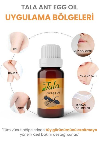 Karınca Yumurtası Yağı 6 Adet fiyatları