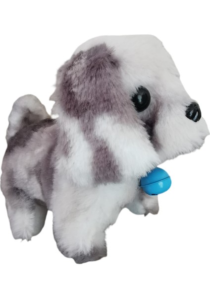 Pilli Oyuncak Köpek , Hareketli , Sesli , Tasmalı , Minik Çanlı Oyuncak Köpek fiyatları