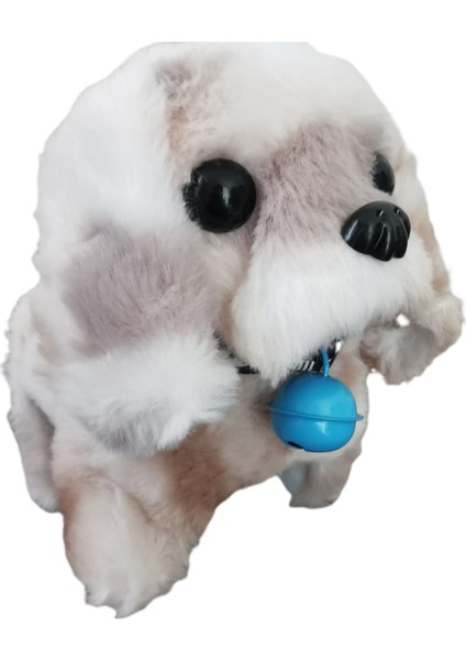 Pilli Oyuncak Köpek , Hareketli , Sesli , Tasmalı , Minik Çanlı Oyuncak Köpek modelleri