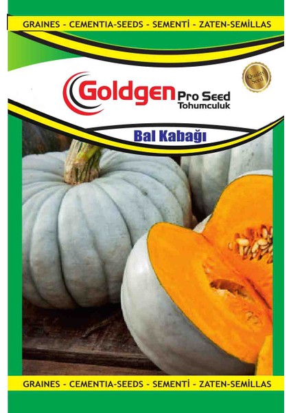 Goldgen Bal Kabağı Tohumu