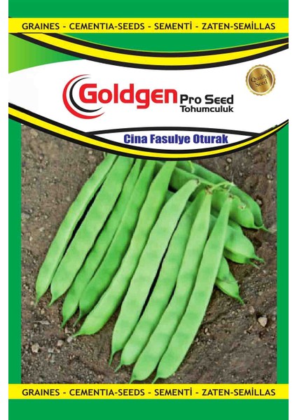 Goldgen Cina Oturak Fasulye Tohumu
