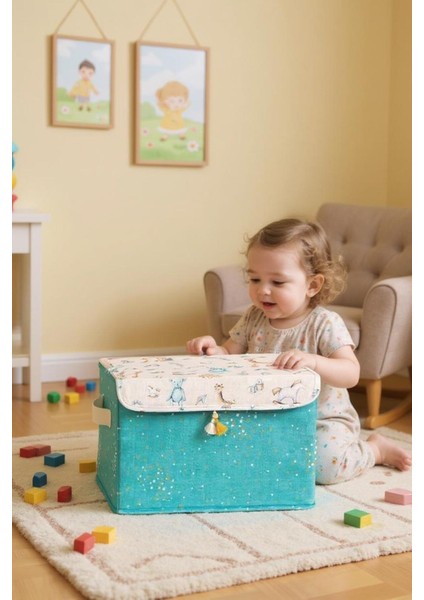 Alas(2 Adet)Baby Çok Amaçlı Kapaklı Kutu Düzenleyici Maxi (Mavi) 35X24X23 modelleri