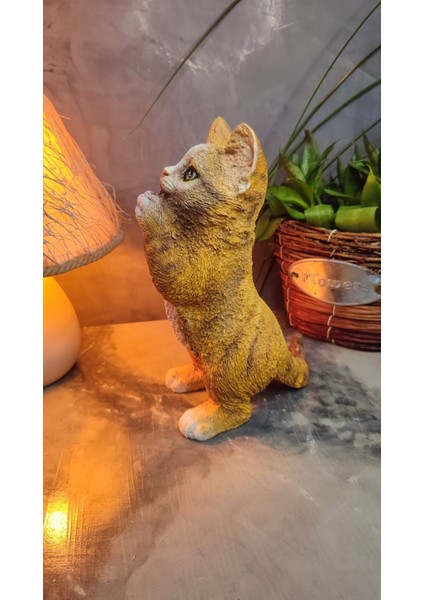 Kedi Polyester Biblo Model 2 fiyatları