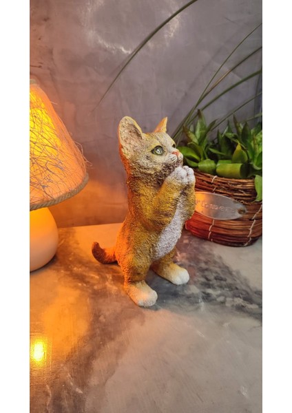 Kedi Polyester Biblo Model 2 modelleri