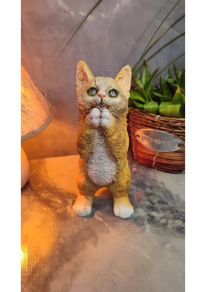 Kedi Polyester Biblo Model 2 fırsatları