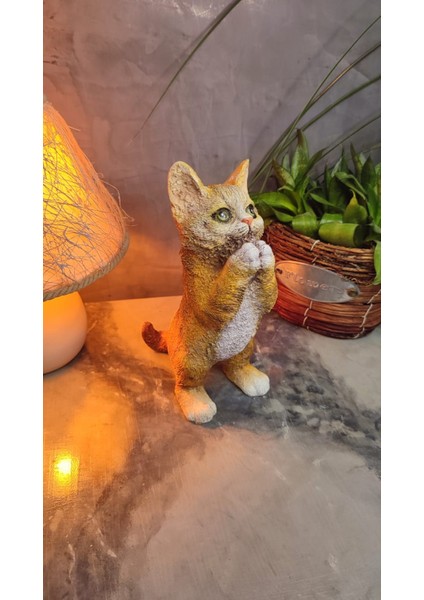 Kedi Polyester Biblo Model 2 indirimleri