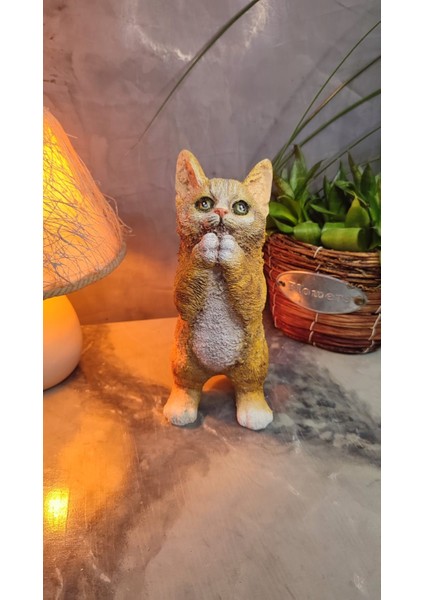 Kedi Polyester Biblo Model 2