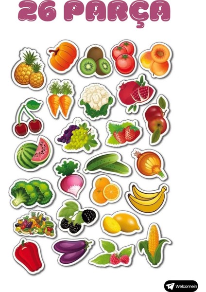 Oyuncak Manyetik Mıknatıslı 30 Parça Hayvanlar 26 Parça Sebze Meyveler Eğitici Set Magnet modelleri