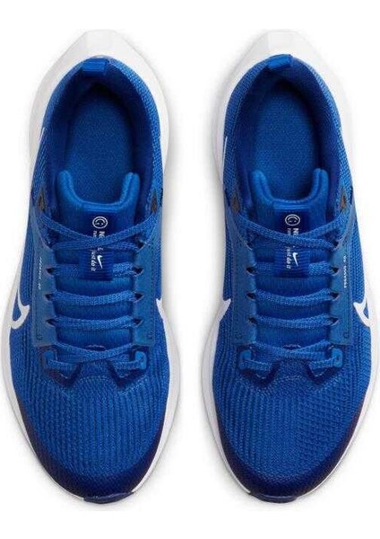 Air Zoom Pegasus 40 Gs Koşu Ayakkabısı