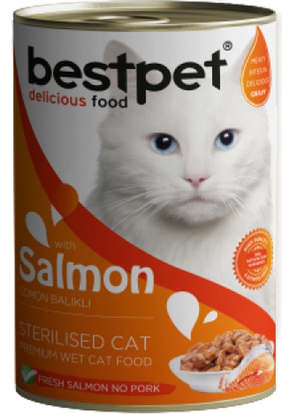 Wizard Bestpet 400 gr x 12 Adet Kısırlaştırılmış Kediler Için, Taze Somon Parça Etli ve Soslu Yaş Mama