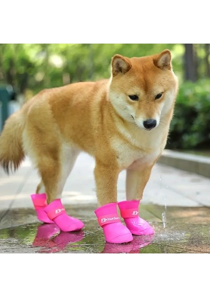 M Beden 4'lü Pembe Silikon Köpek Yağmur Botu