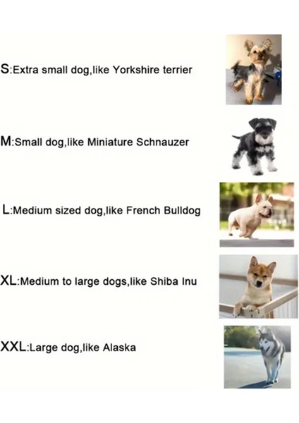 M Beden 4'lü Pembe Silikon Köpek Yağmur Botu indirimleri