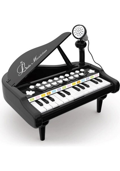 Mikrofonlu 24 Tuşlu Piyano Mp3 (Pembe,siyah,beyaz) fırsatları